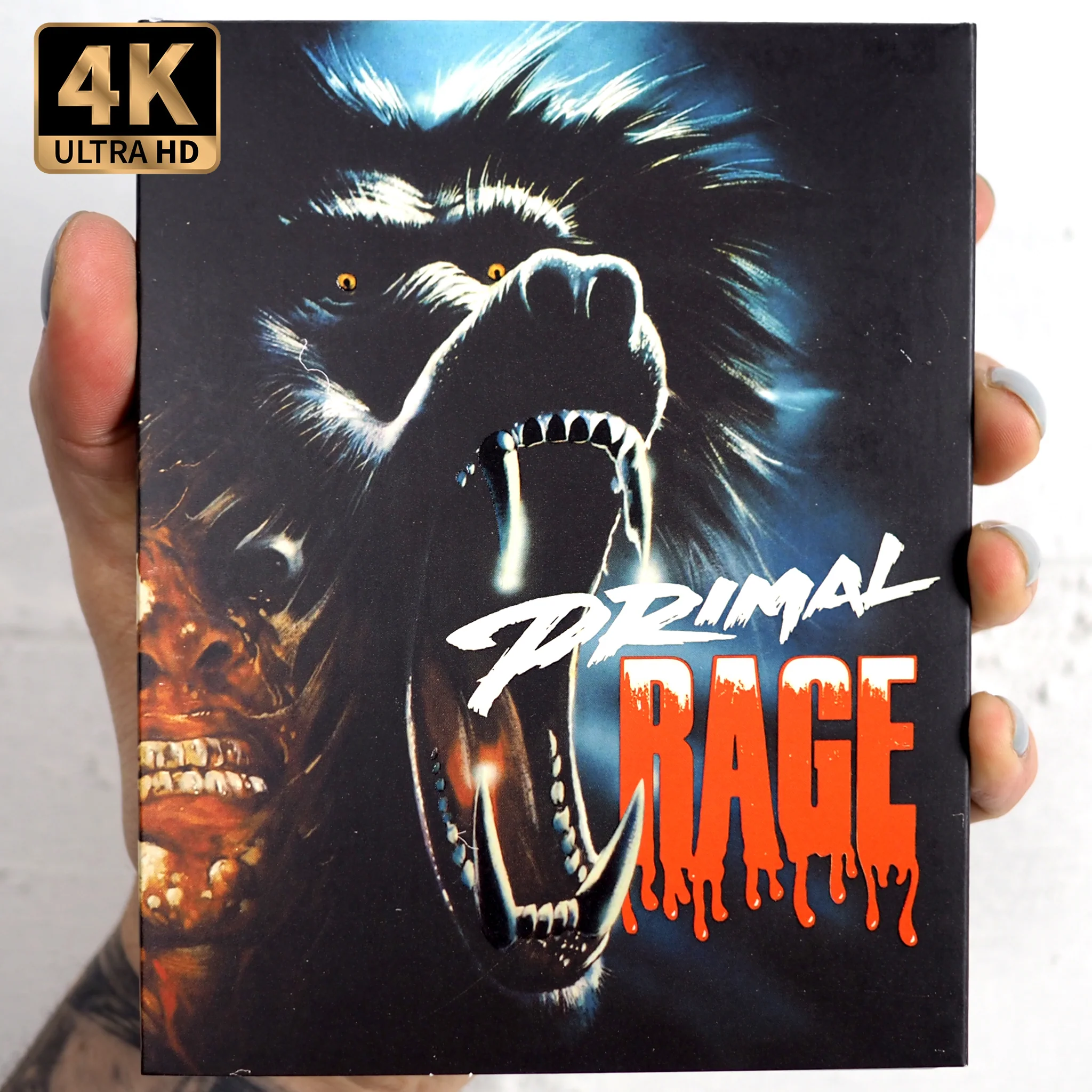 Thumbnail 1