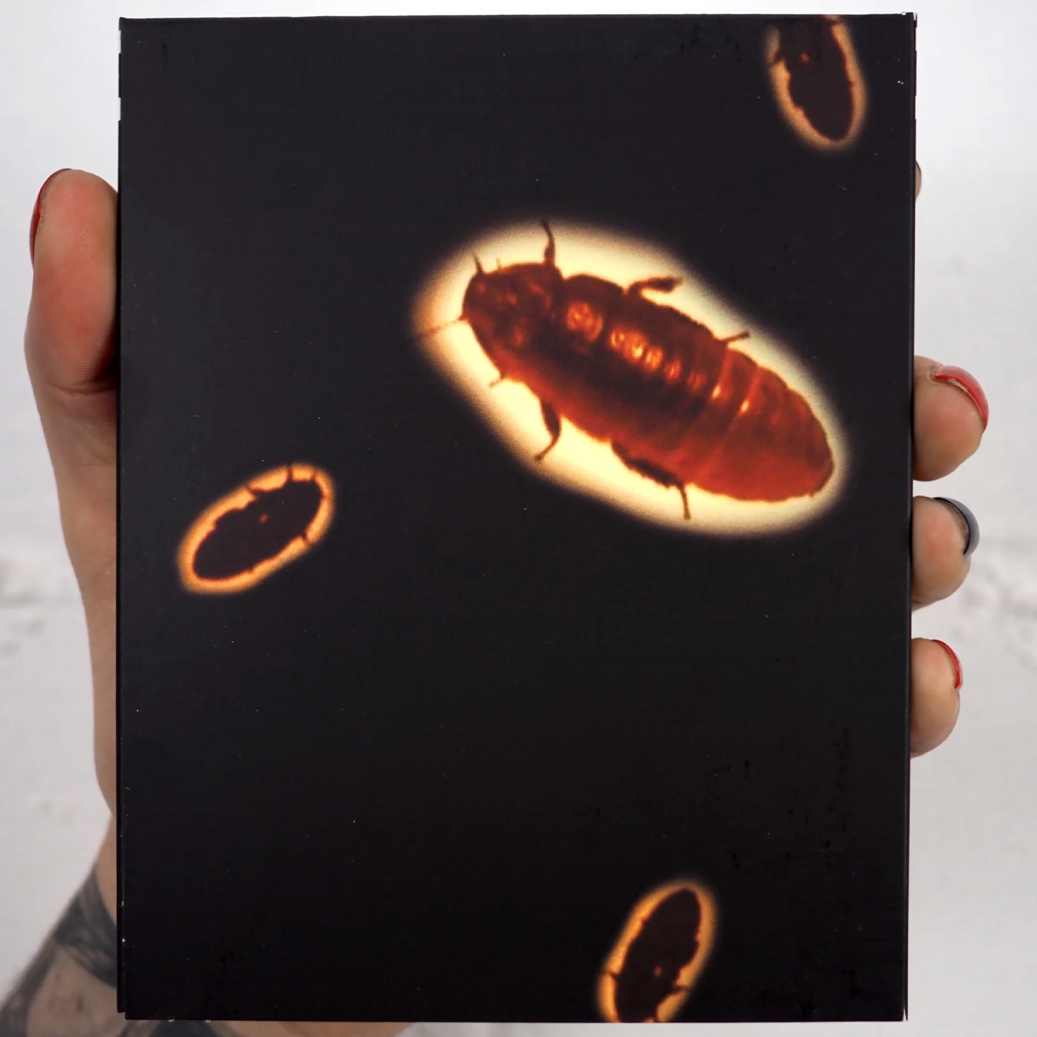 Thumbnail 2